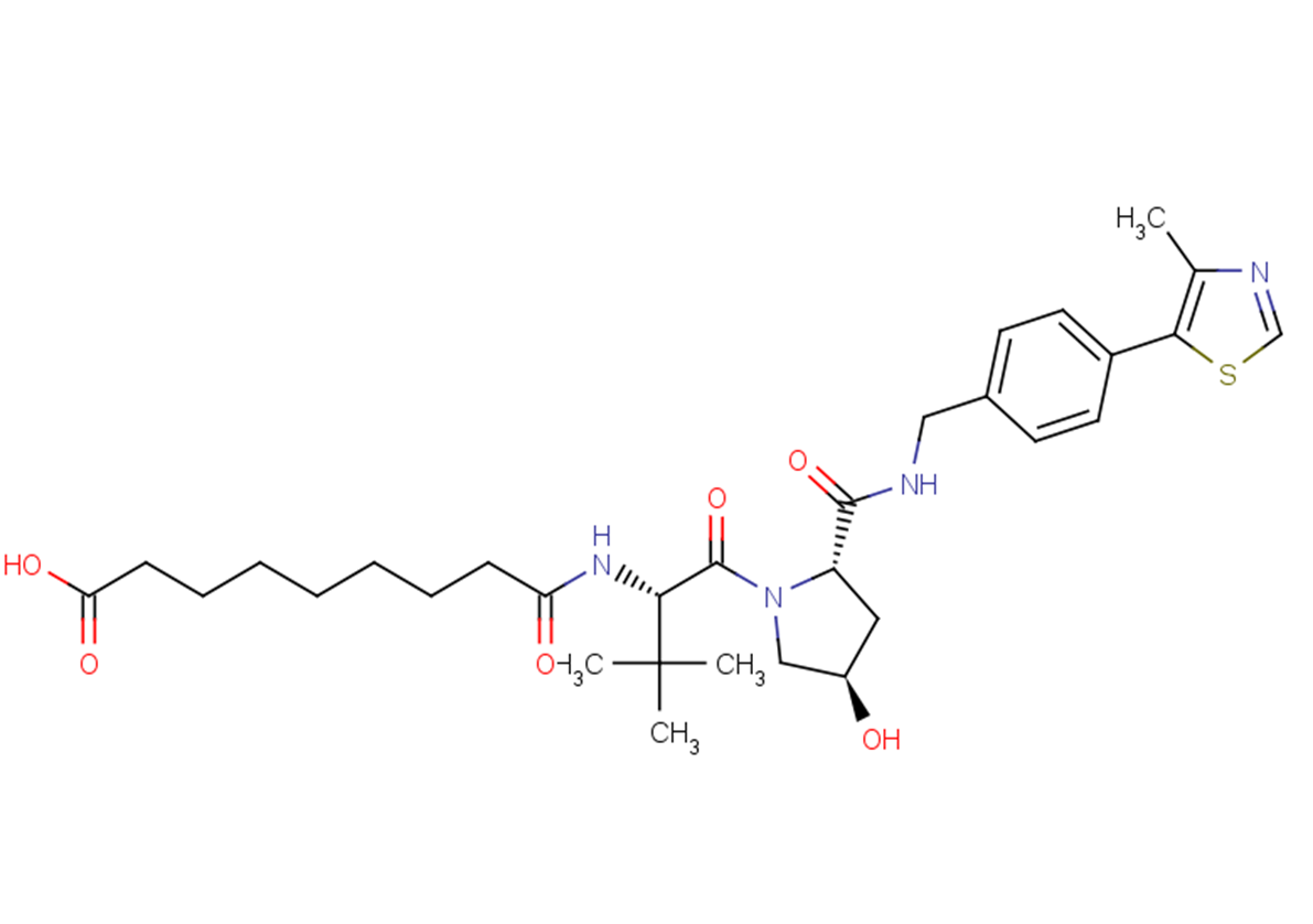 VH 032 amide alkylC7 acid TargetMol阻害剤 阻害剤