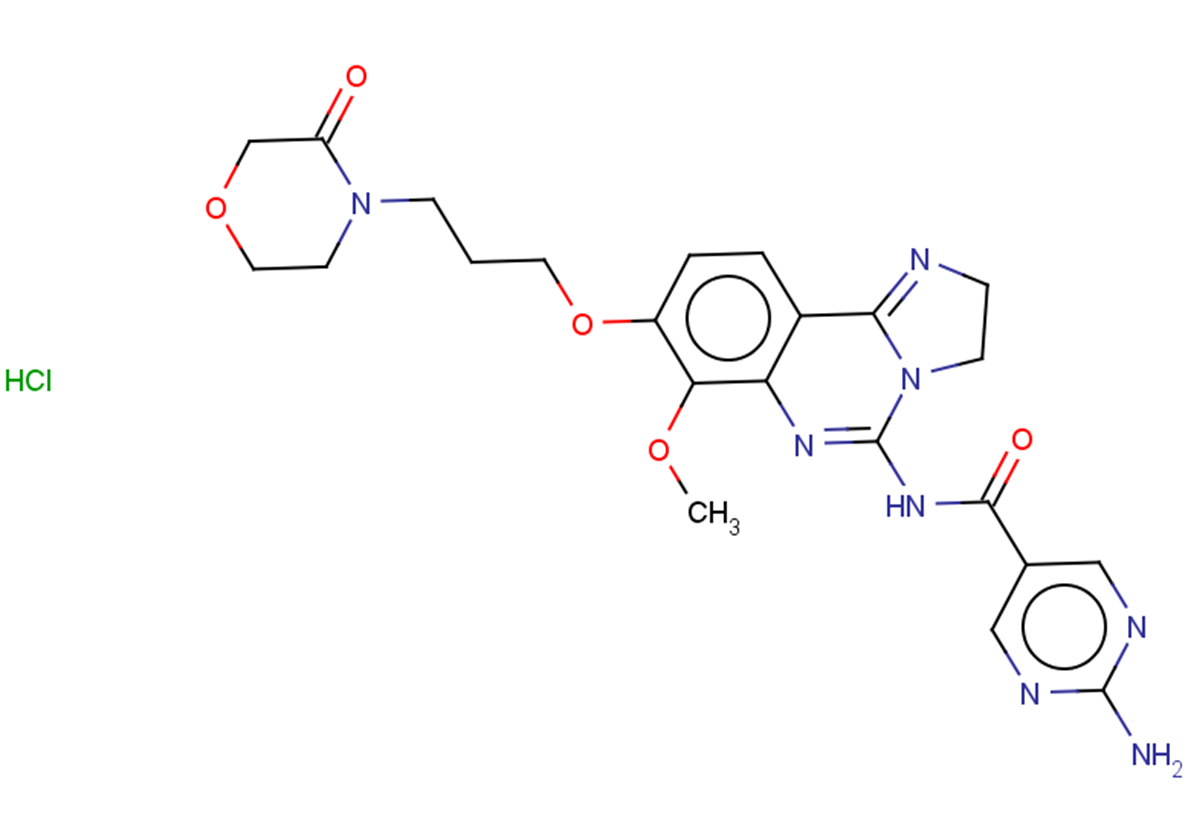 PI3K-IN-19 hydrochloride