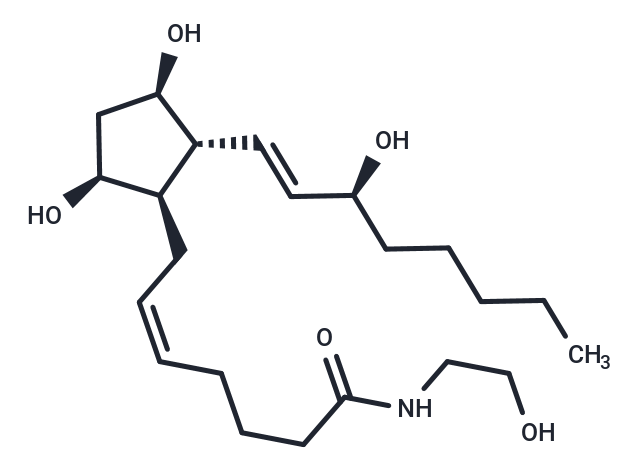 Prostaglandin F2α Ethanolamide