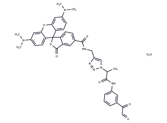 Citrulline-specific Probe-Rhodamine