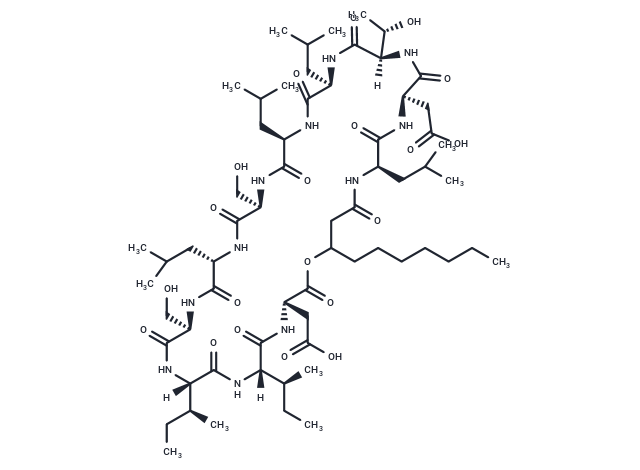 Arthrofactin