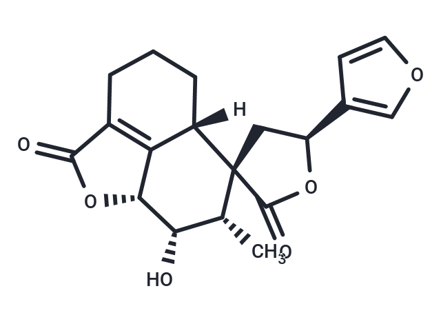 Teucrin A