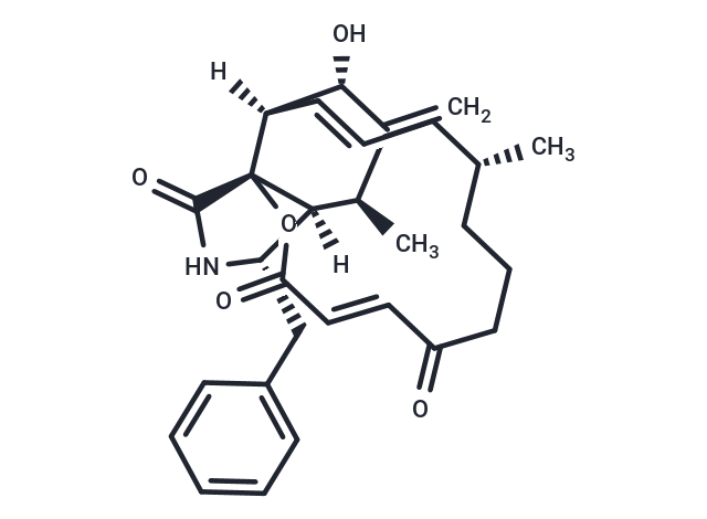 Cytochalasin A