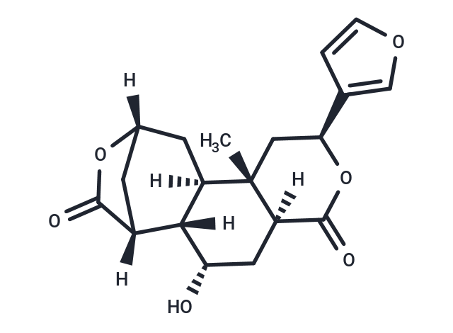 Diosbulbin E