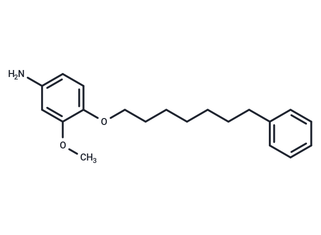 m-Anisidine, 4-((7-phenylheptyl)oxy)-