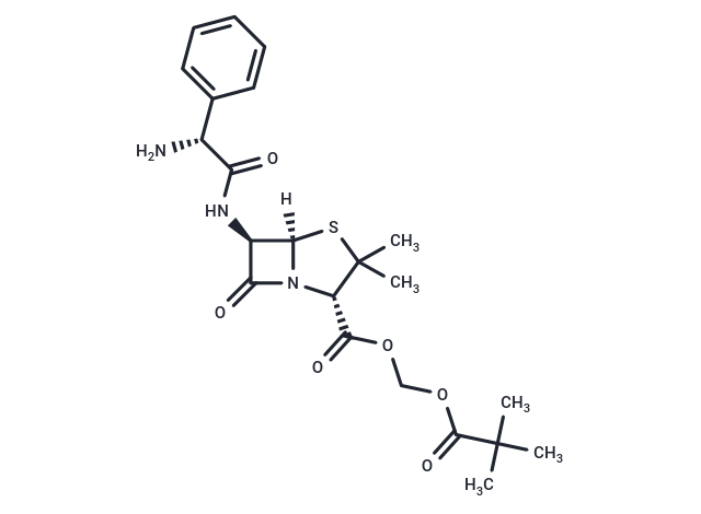 Pivampicillin