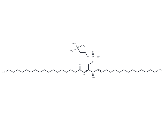 Sphingomyelin