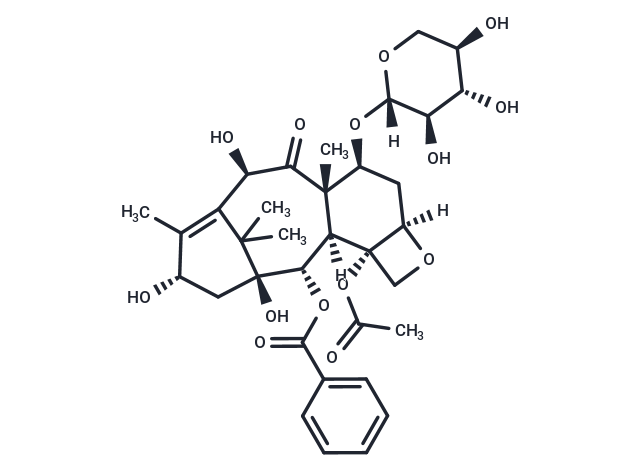 7-Xylosyl-10-deacetylbaccatin III