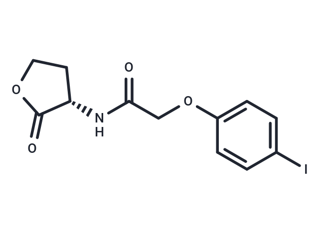 RhlR Antagonist E22