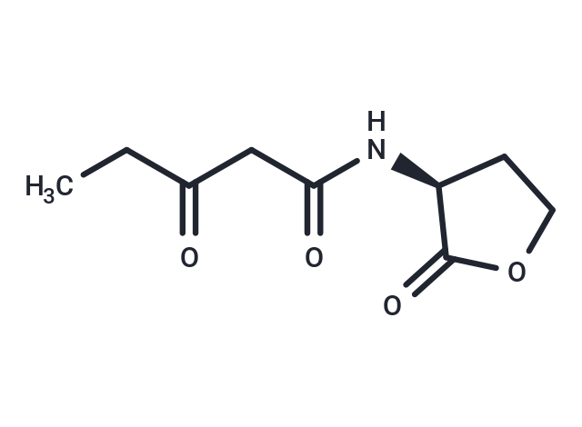 N-3-oxo-pentanoyl-L-Homoserine lactone