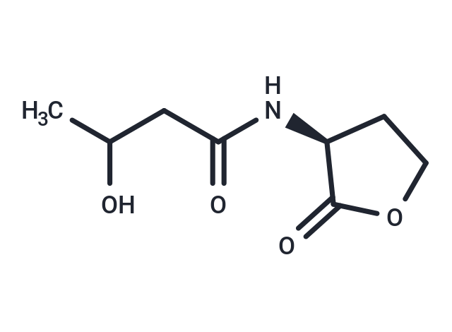 N-3-hydroxybutyryl-L-Homoserine lactone