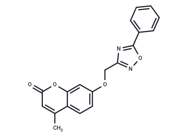 hCAIX/XII-IN-2