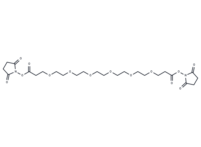 Bis-PEG6-NHS ester