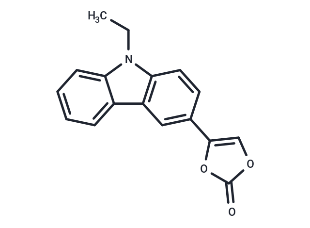 photoCORM-2