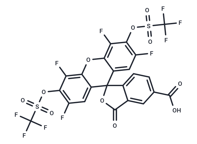 HKSOX-1