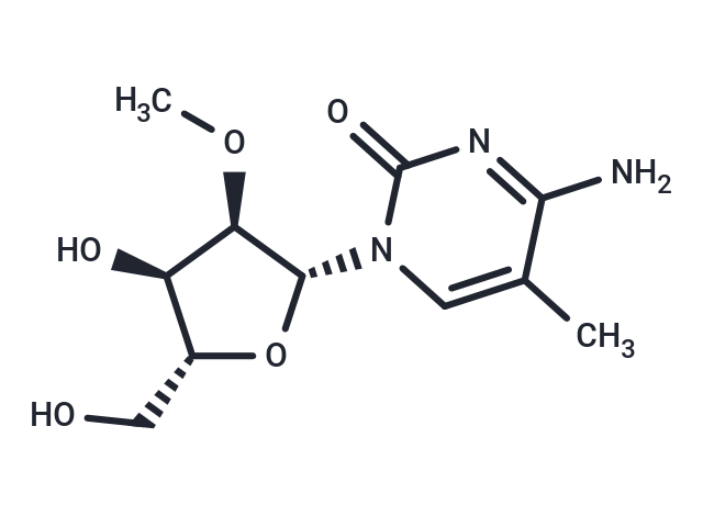 2’-O-Methyl-5-methylcytidine
