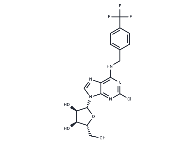 2’-Chloro-N6-(4-trifluoromethyl)benzyl   adenosine