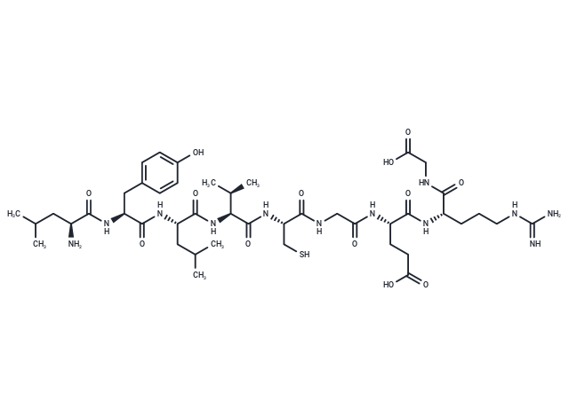 Insulin β Chain Peptide (15-23)