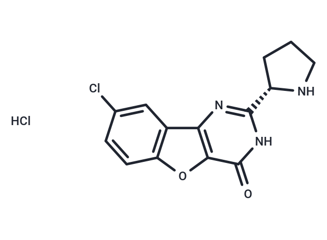 XL413 hydrochloride