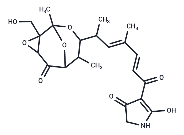 Tirandamycin B