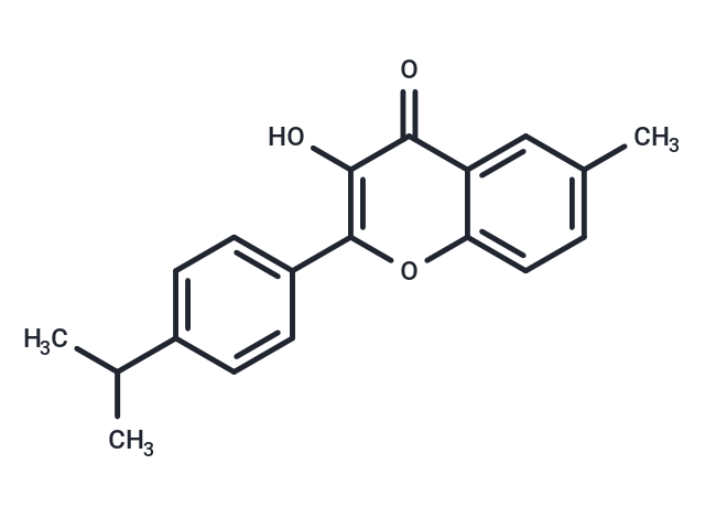 CCG-120304