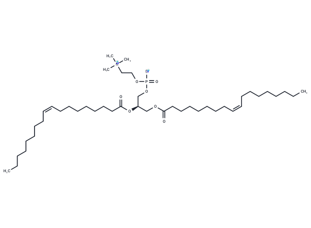 1,2-dioleoyl-sn-glycero-3-phosphocholine