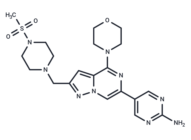 ETP-47037