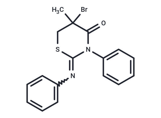 CK 17