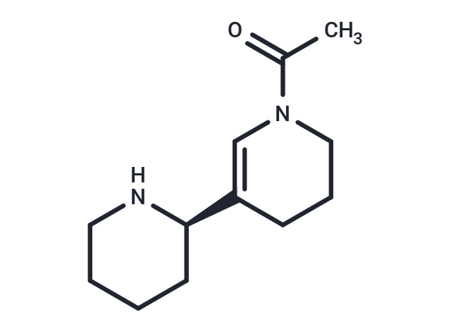 Isoammodendrine