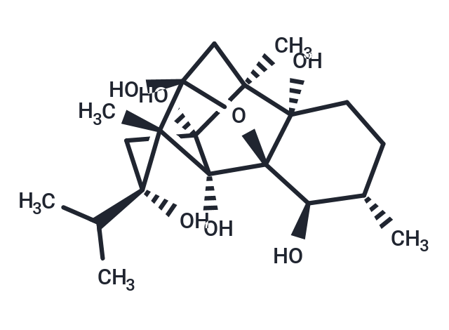 Cinnzeylanol