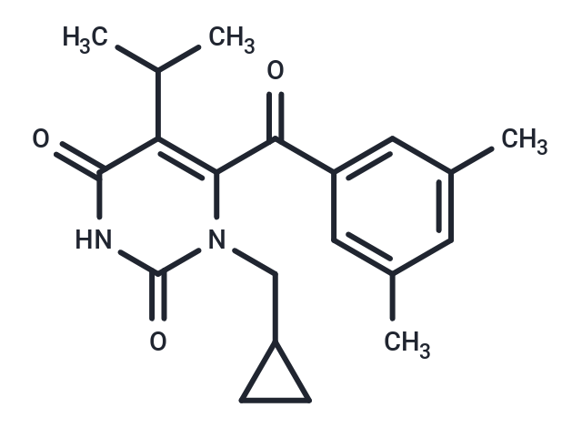 IQP-0528