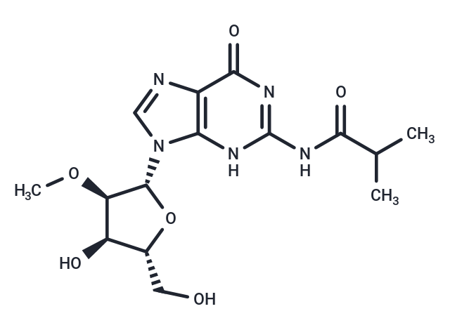 2’-O-Methyl-N2-isobutyroylguanosine