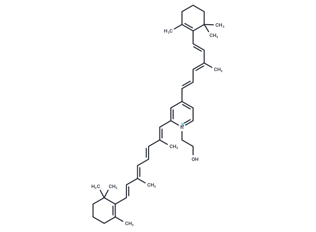 Pyridinium bisretinoid A2E