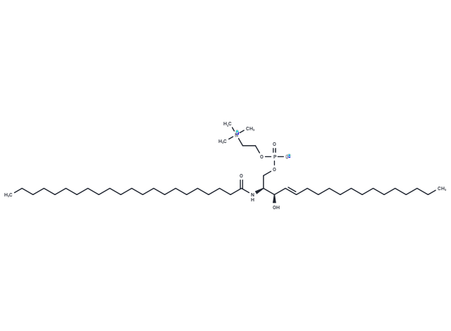 C22 Sphingomyelin (d18:1/22:0)