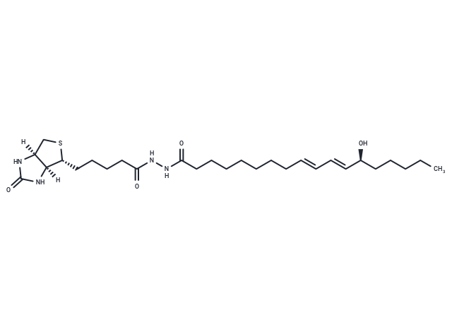 13(S)-HODE-biotin