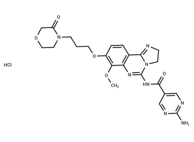 PI3K-IN-19 hydrochloride