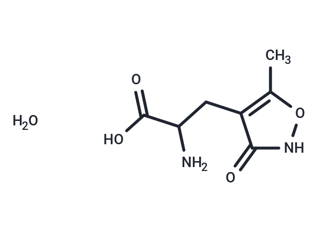 (RS)-AMPA monohydrate
