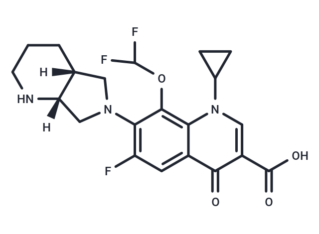 Chinfloxacin