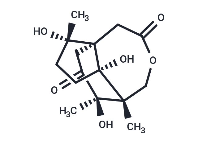 1α-Hydroxy-3-deoxypseudoanisatin