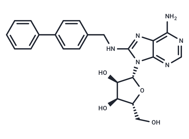 CNT2 inhibitor-1