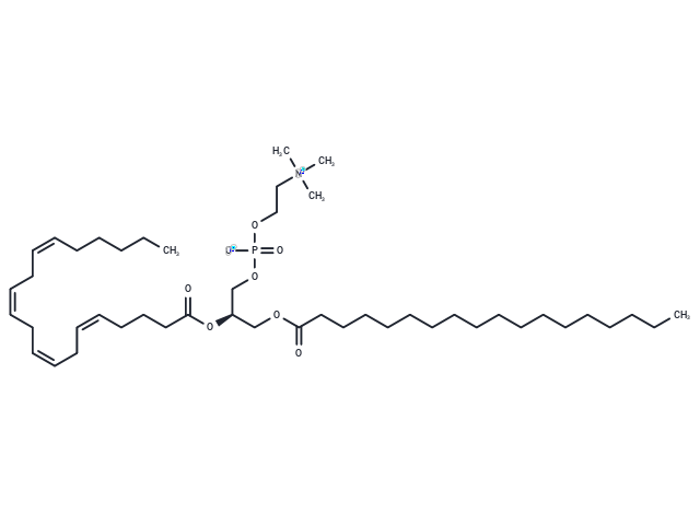 1-Stearoyl-2-arachidonoyl-sn-glycero-3-phosphocholine