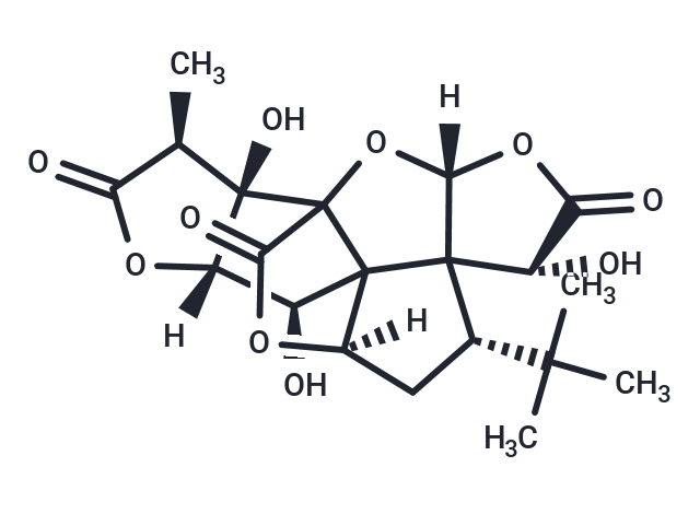 Ginkgolide B