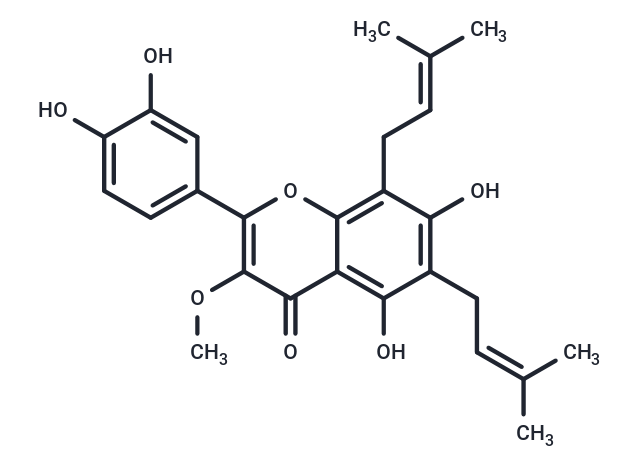 Broussoflavonol B