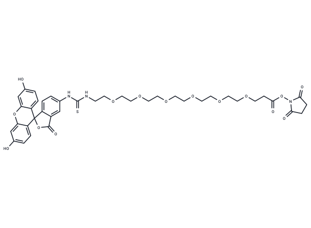 Fluorescein-PEG6-NHS ester