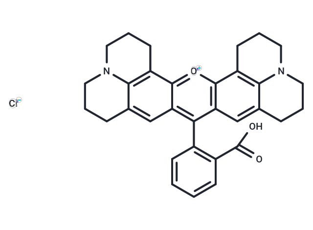 Rhodamine 101 chloride
