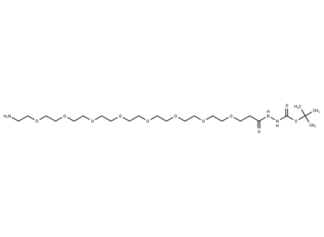 Amino-PEG8-hydrazide-Boc