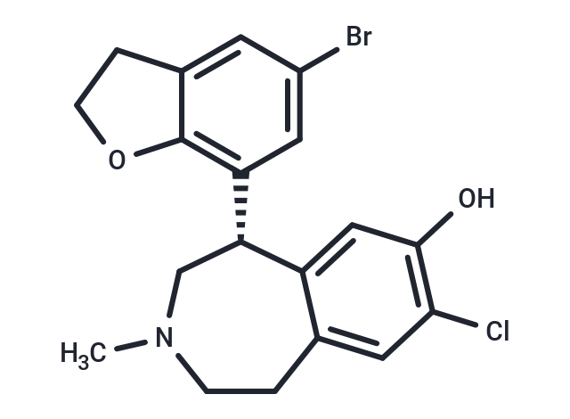 Berupipam