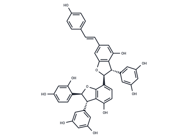 Gnetumontanin B