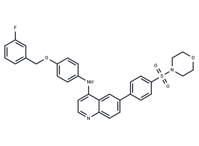 NEU-1045