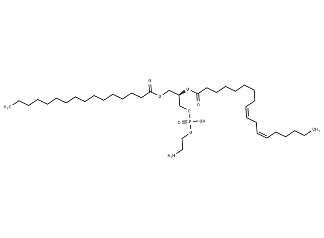 1-Palmitoyl-2-linoleoyl PE